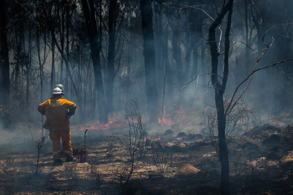 Bushfire Recovery Gets Massive Funding Boost Nsw Nationals 7054